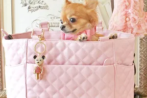 Bolsos 