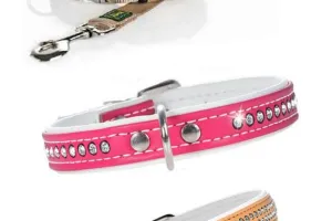 Collares 