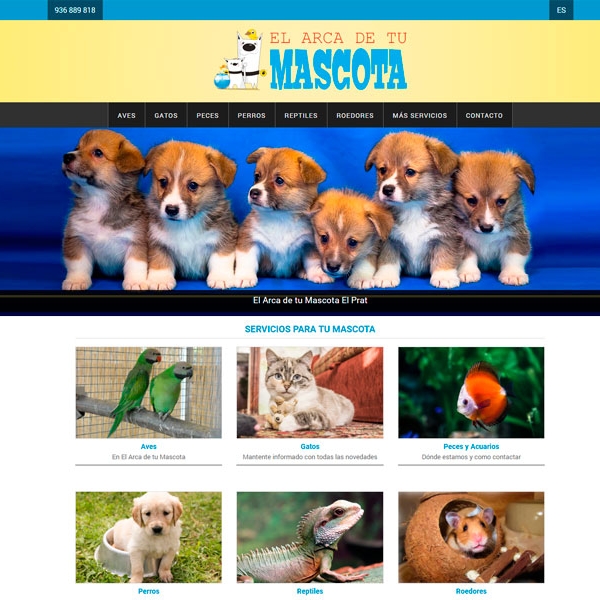 Diseño Web El Arca de tu Mascota