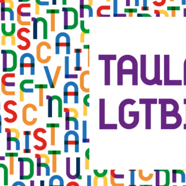 La Taula LGTBIQ+ comença a preparar...