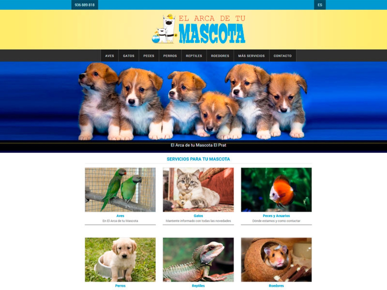 Diseño Web mascotas | El arca de tu mascota