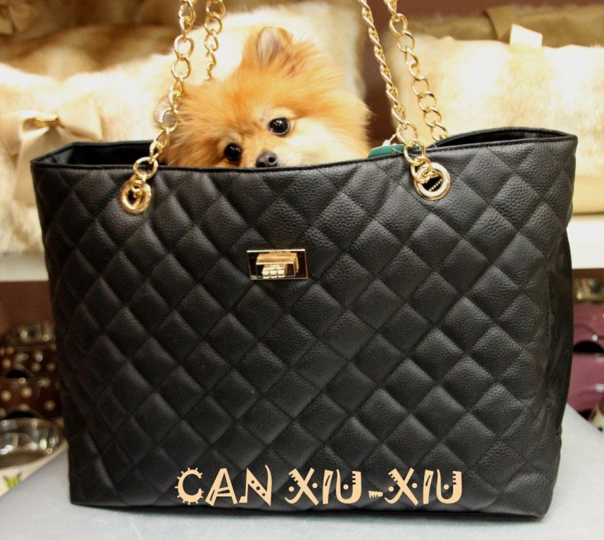 Coco Carrier Bag