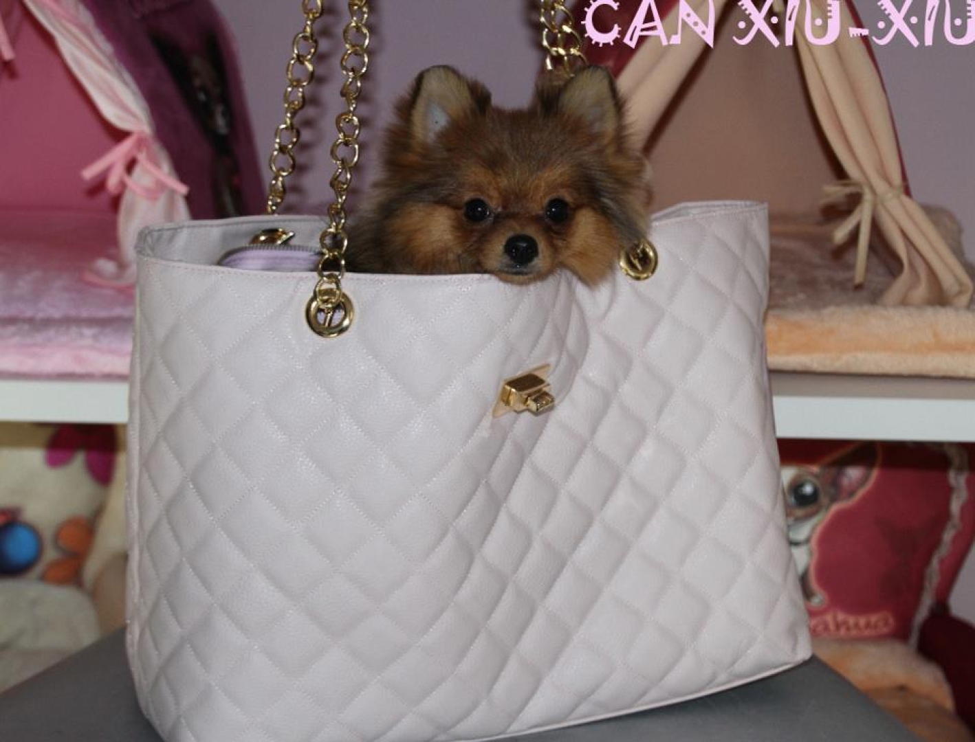 Coco Carrier Bag