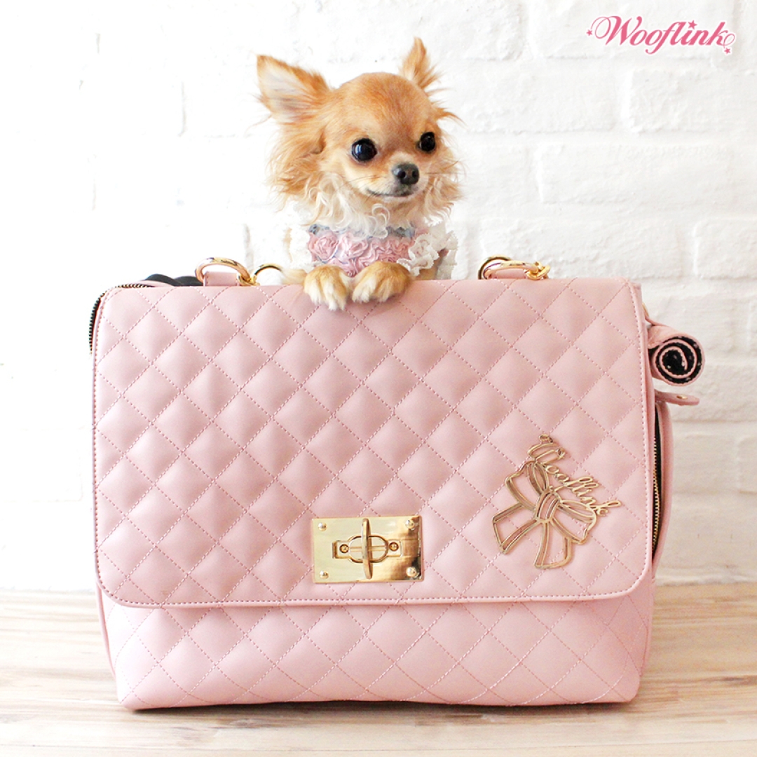 CHIC BAG  Bolso chic y lujoso para perros ♥