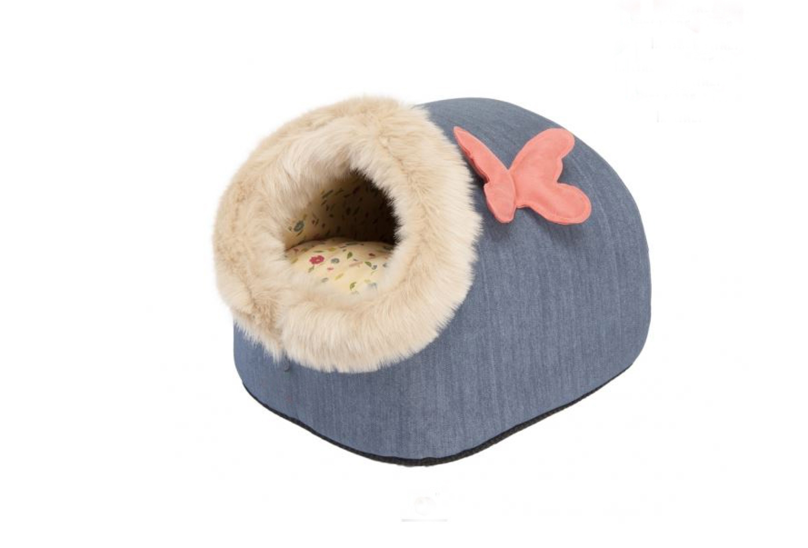 Igloo 