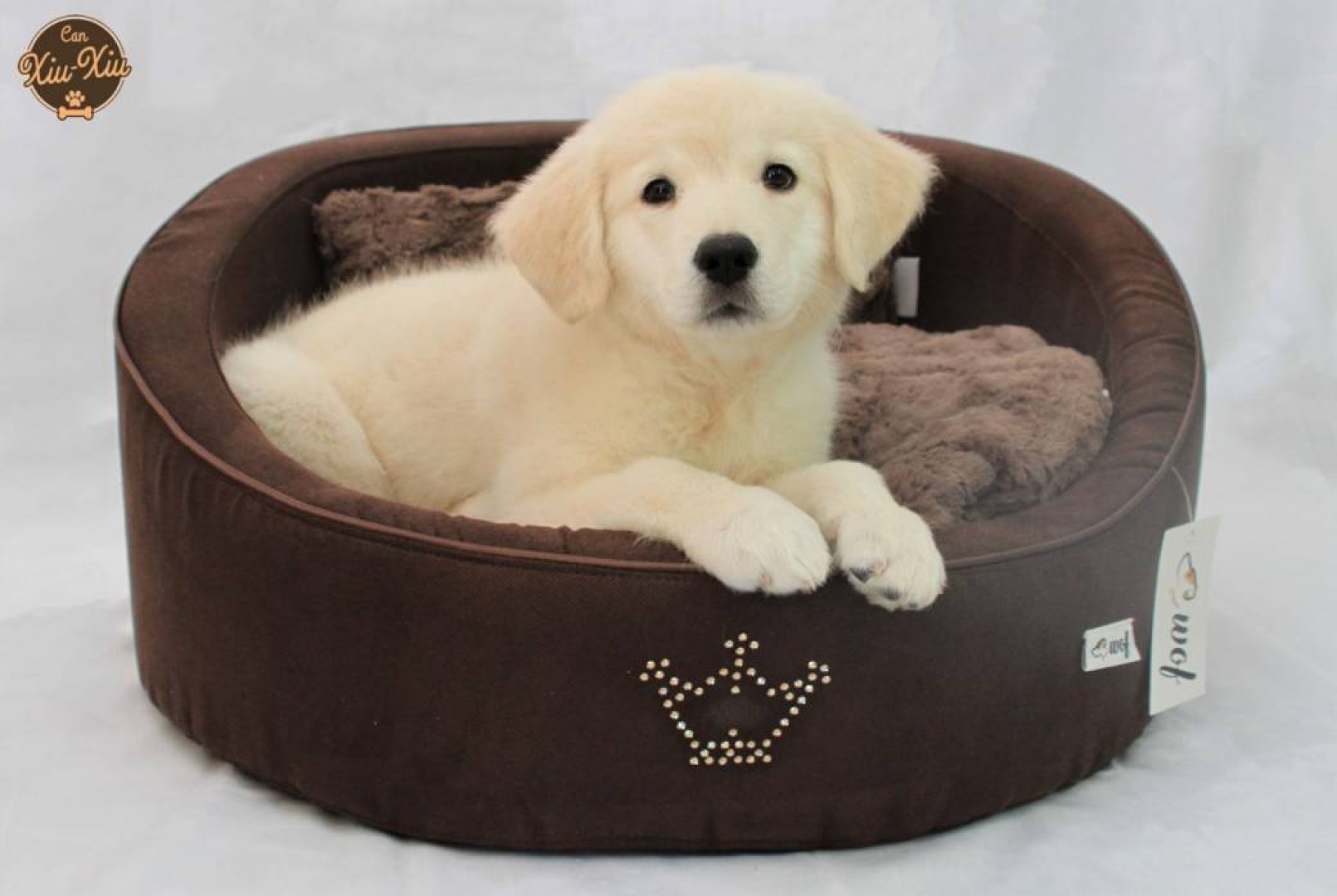 ROUNI BROWN Una cama de edicion limitada, para ofrecer confor y comodidad a tu perro. Totalmente desenfundable. Talla S 60 cm.