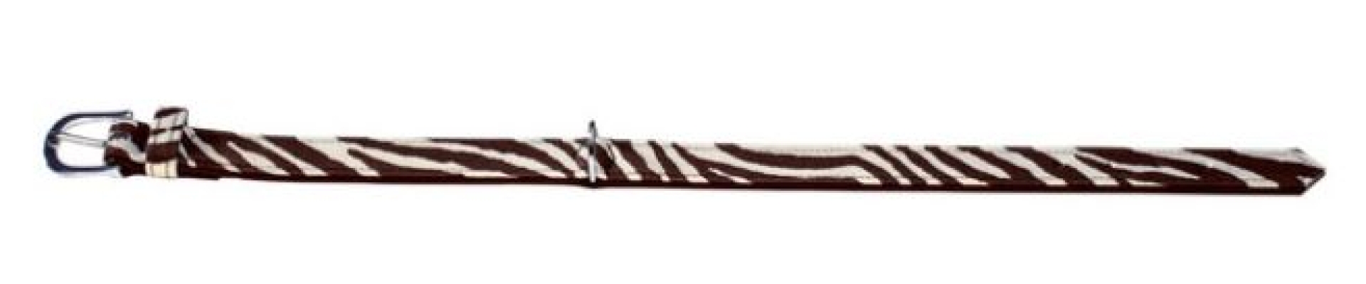 Collar Safari Cebra