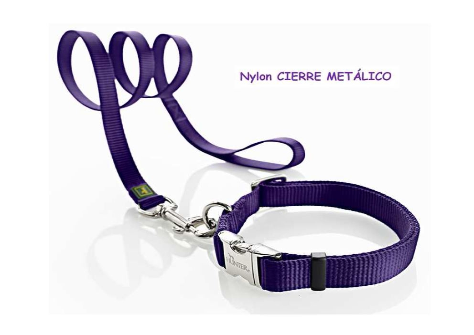Classics violeta