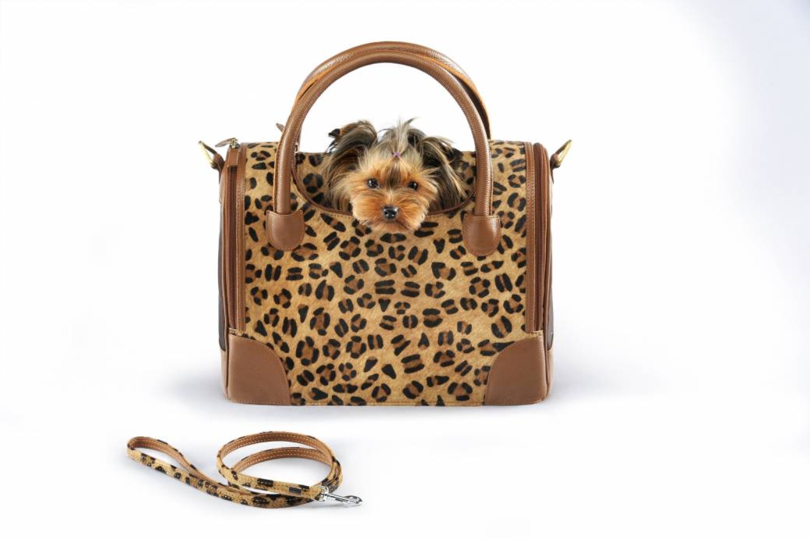 Animal Print Jane ​Máximo: 3,0 kgr.
